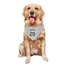 Colorado Rockies Matt Carasiti White Pet Bandana for Dog & Cat