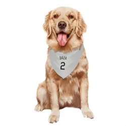 Colorado Rockies Yonathan Daza White Pet Bandana for Dog & Cat